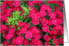 Floral Beauty - Thank You card