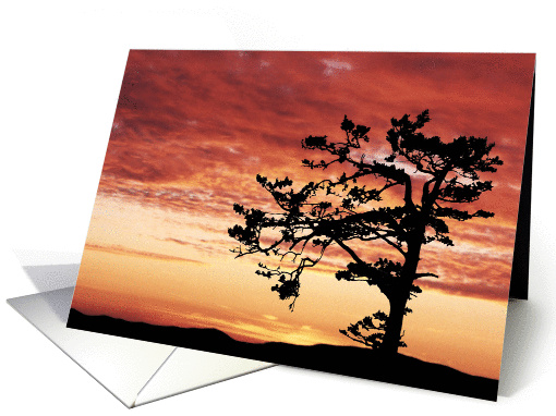 Raven's Roost - Any Occasion card (129577)