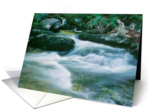 Tye Rapids - Any Occasion card (129749)