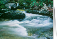 Tye Rapids - Any Occasion card
