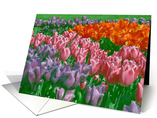 Painted Tulips - Birthday card (130573)