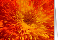 Dahlia - Birthday card