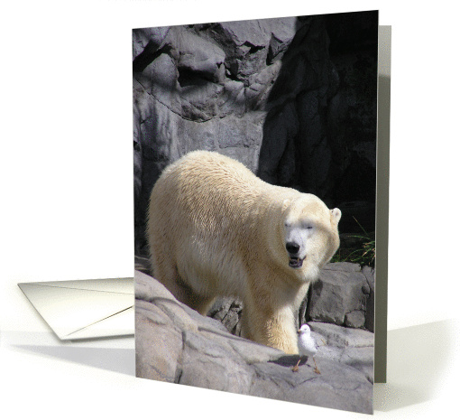 Polar Bear and Seagull card (129645)
