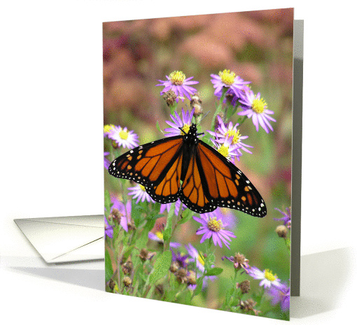 Monarch Butterfly II card (130225)