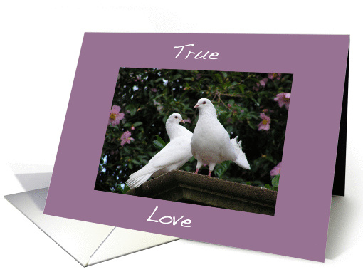 Doves True Love card (137485)