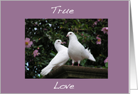 Doves True Love card