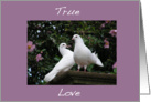 Doves True Love card
