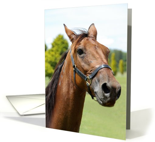 Horse Head card (659289)