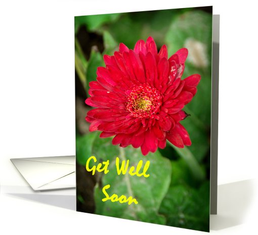 Red Flower Get Well Soon card (667044)