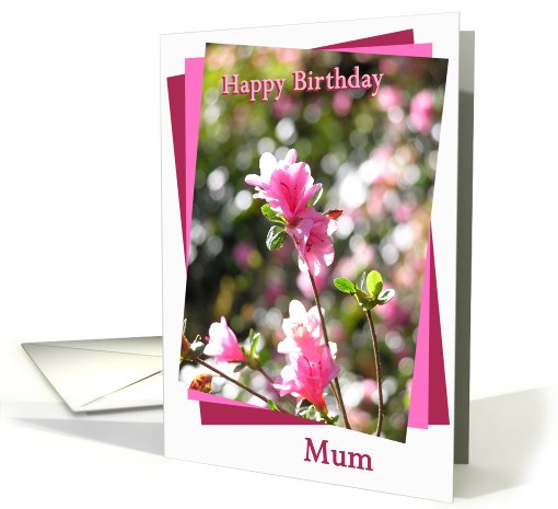 Mum Pink Flower Happy Birthday card (667079)
