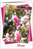 Mum Pink Flower Happy Birthday card