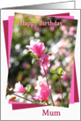 Mum Pink Flower Happy Birthday card