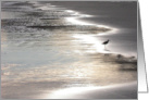 Shorebird With Reflections on the Beach card