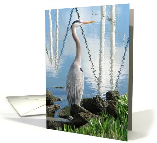 Blue Heron on the waterfront card (129717)