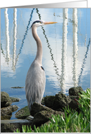 Blue Heron on the waterfront card