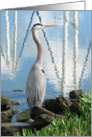 Blue Heron on the waterfront card