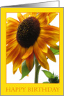 Happy Birthday - sunflower card