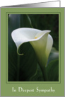 Sympathy - lily card