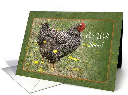 Get Well - hen card (133386)