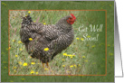 Get Well - hen card