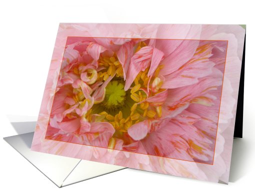 Pink Poppy card (135795)