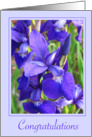 Congratulations - purple iris card