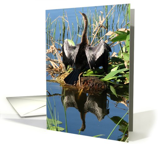 Beautiful Bird with Reflection card (140174)