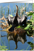 Beautiful Bird with Reflection card
