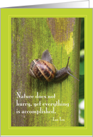 Garden Snail - Lao Tzu quote card