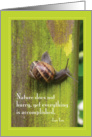 Garden Snail - Lao Tzu quote card