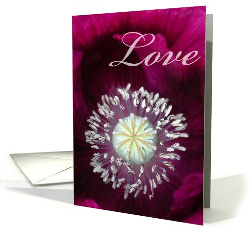 Love Poppy card (148193)