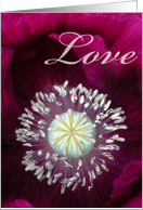 Love Poppy card