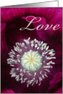 Love Poppy card