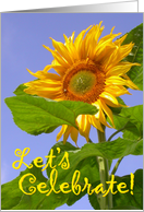 Let’s Celebrate - sunflower card
