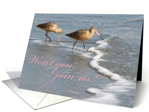 Invitation - shorebirds card (151866)
