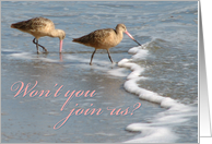 Invitation - shorebirds card