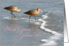 Invitation - shorebirds card