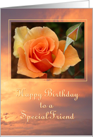 Happy Birthday Special Friend card