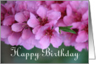 Happy Birthday - peach blossoms card