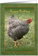 Happy Birthday Hen