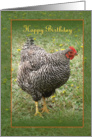 Happy Birthday Hen card