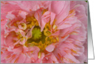 Pink Ruffled Poppy card