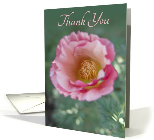 Pink Poppy Thank You card (720229)