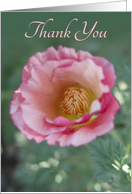 Pink Poppy Thank You