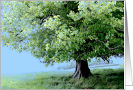 The Happy Tree card