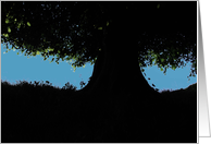 The Wishing Tree card