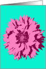 Friendship - Pink Pop Art Flower on Teal card