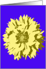 Friendship - Yellow Pop Art Flower on Blue card
