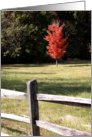 Happy Fall Tree with Red Autumn Leaves card