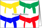 Martial Arts Happy Birthday - Colored Belts card
